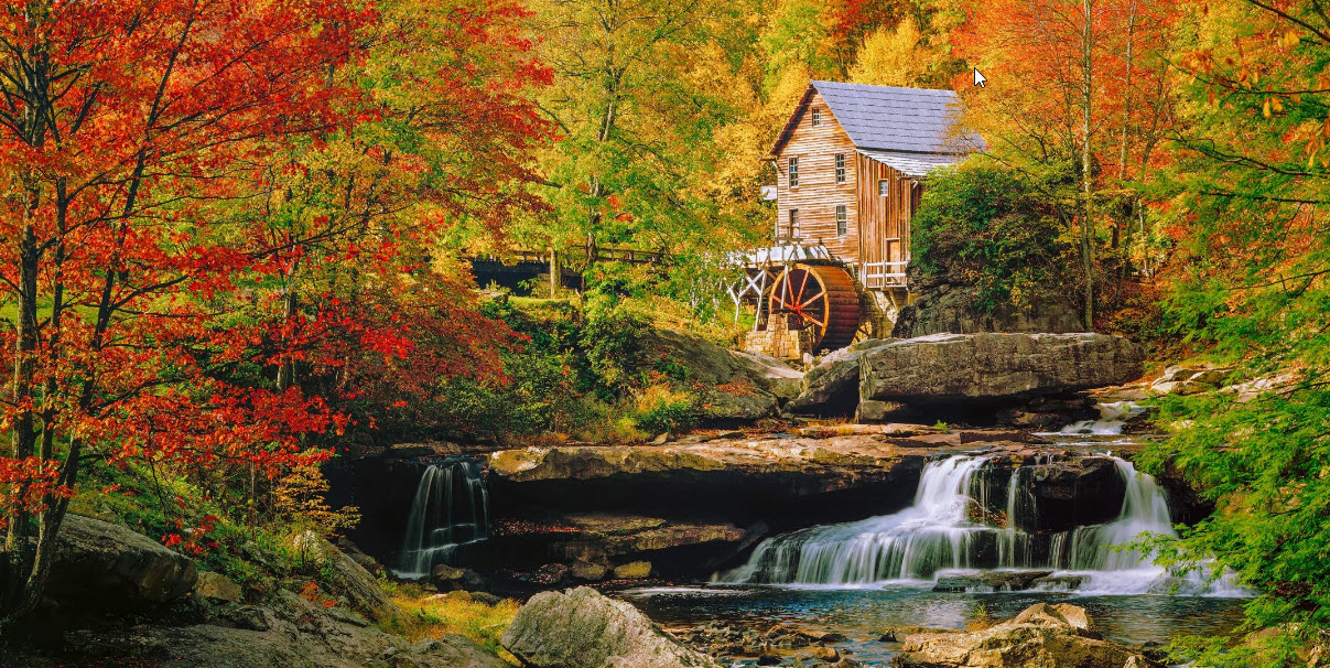 INDIAN SUMMER    2026-10-11_11-29-07