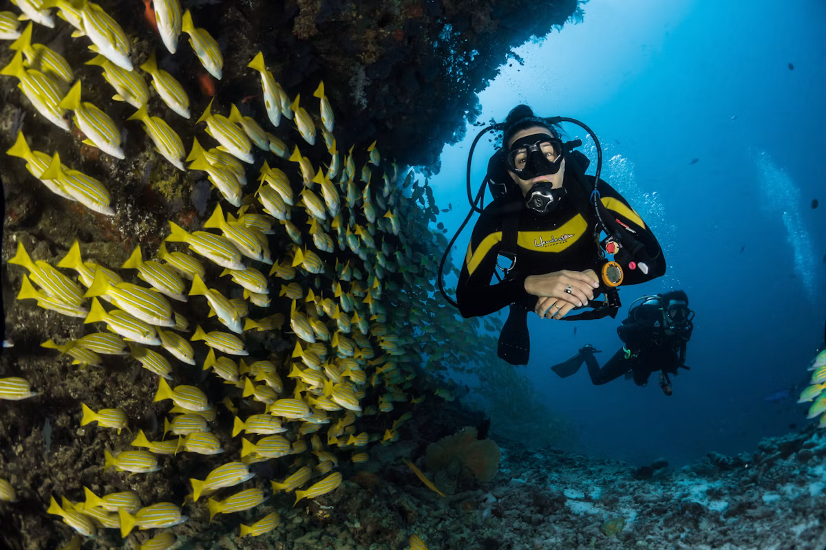 Scuba diver