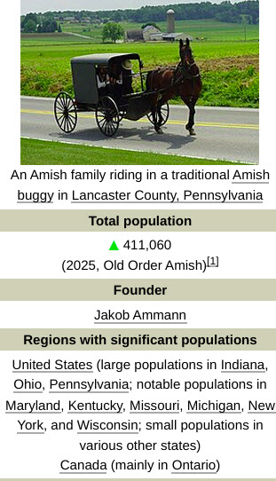 AMISH HORSE AND BUGGY    2025-11-09_11-34-35