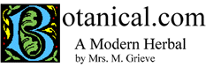 A MODERN HERBAL ICON PNG  b6a0f34e-4467-5656-86d7-71493a05b165