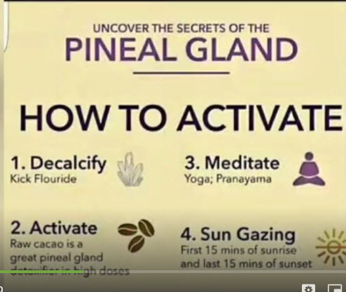 Pineal Gland