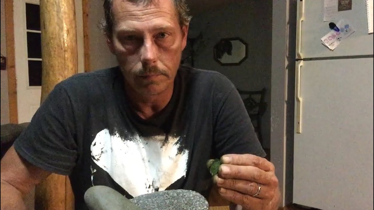 Medicinal Plants - Peach Tree Leaves - YouTube