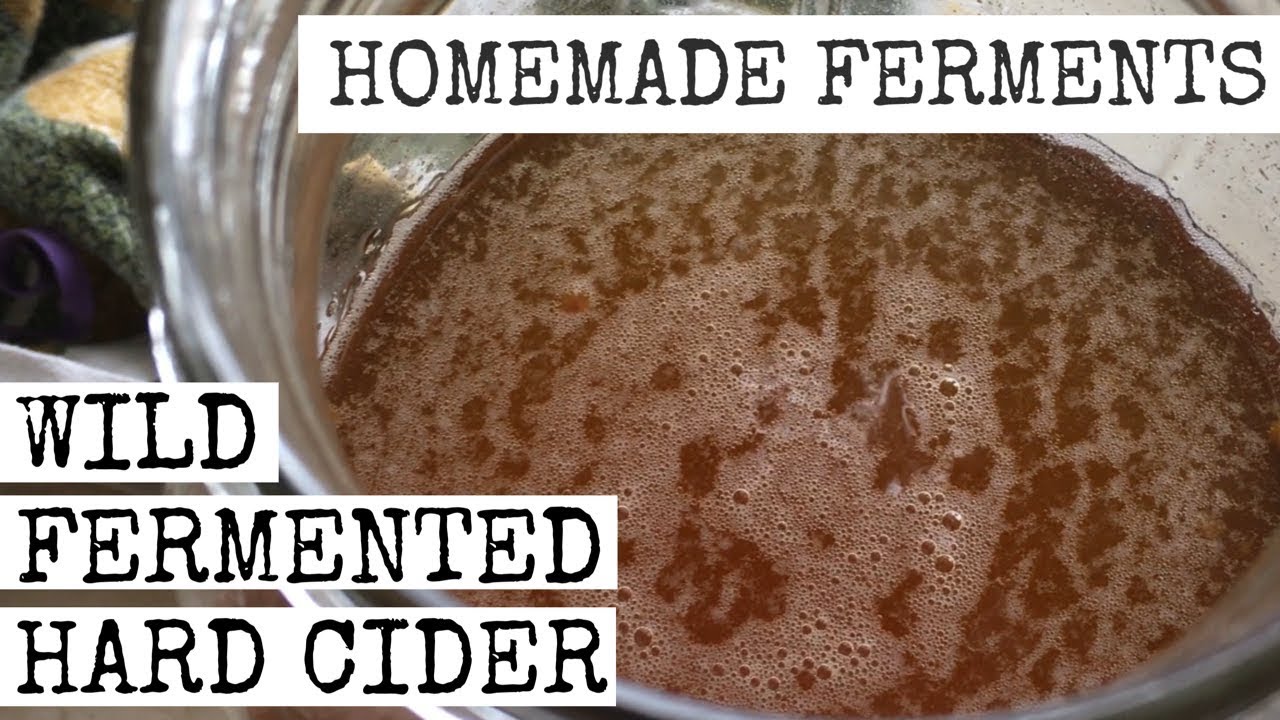 HOW TO MAKE WILD FERMENTED HARD CIDER USING ...