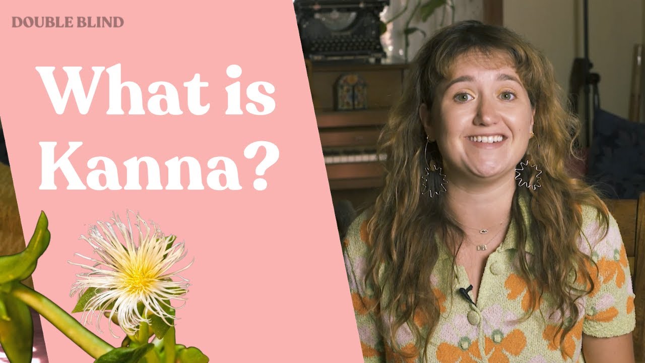 Kanna: A Legal Plant for Microdosing + More 🌿 | DoubleBlind - YouTube