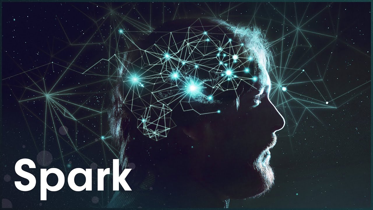 How Much Can The Human Brain Learn | The Brain Fitness Program | Spark - YouTube