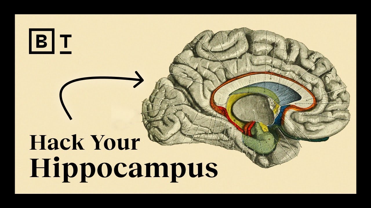 9 tactics to build a stronger mind | Lisa Genova - YouTube