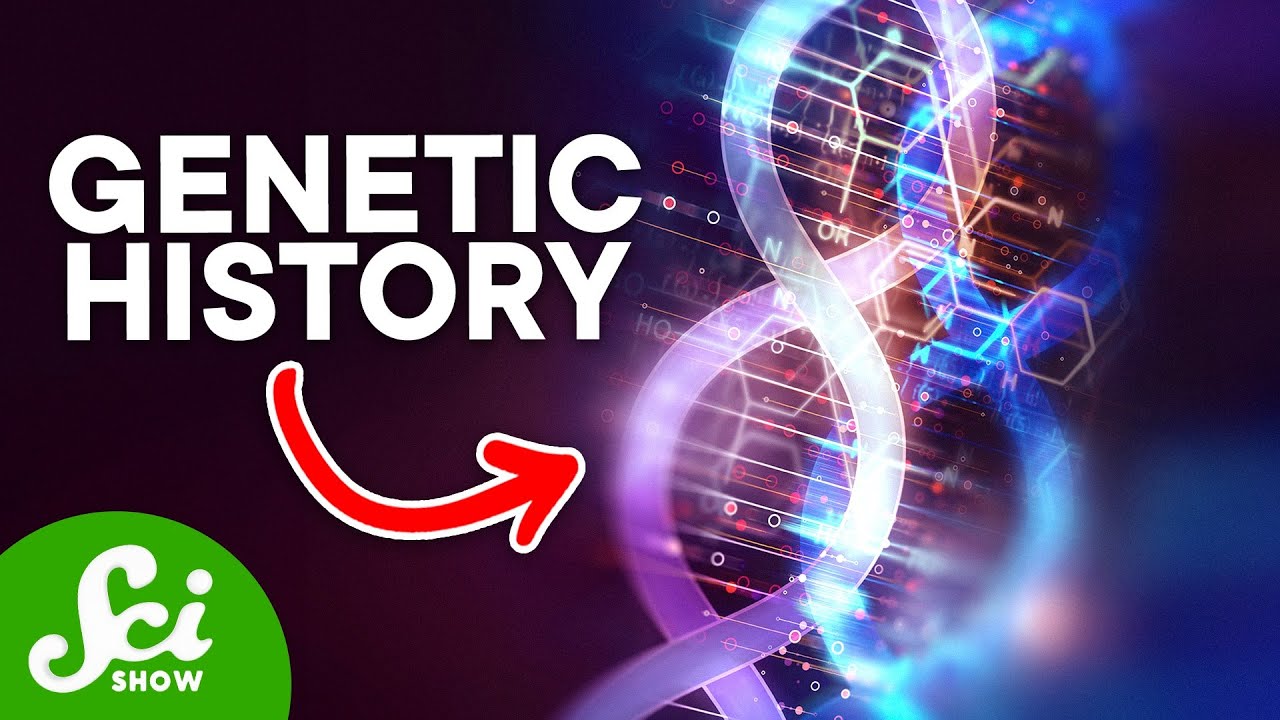 Can Your Environment Affect Your DNA? | Epigenetics Explained - YouTube
