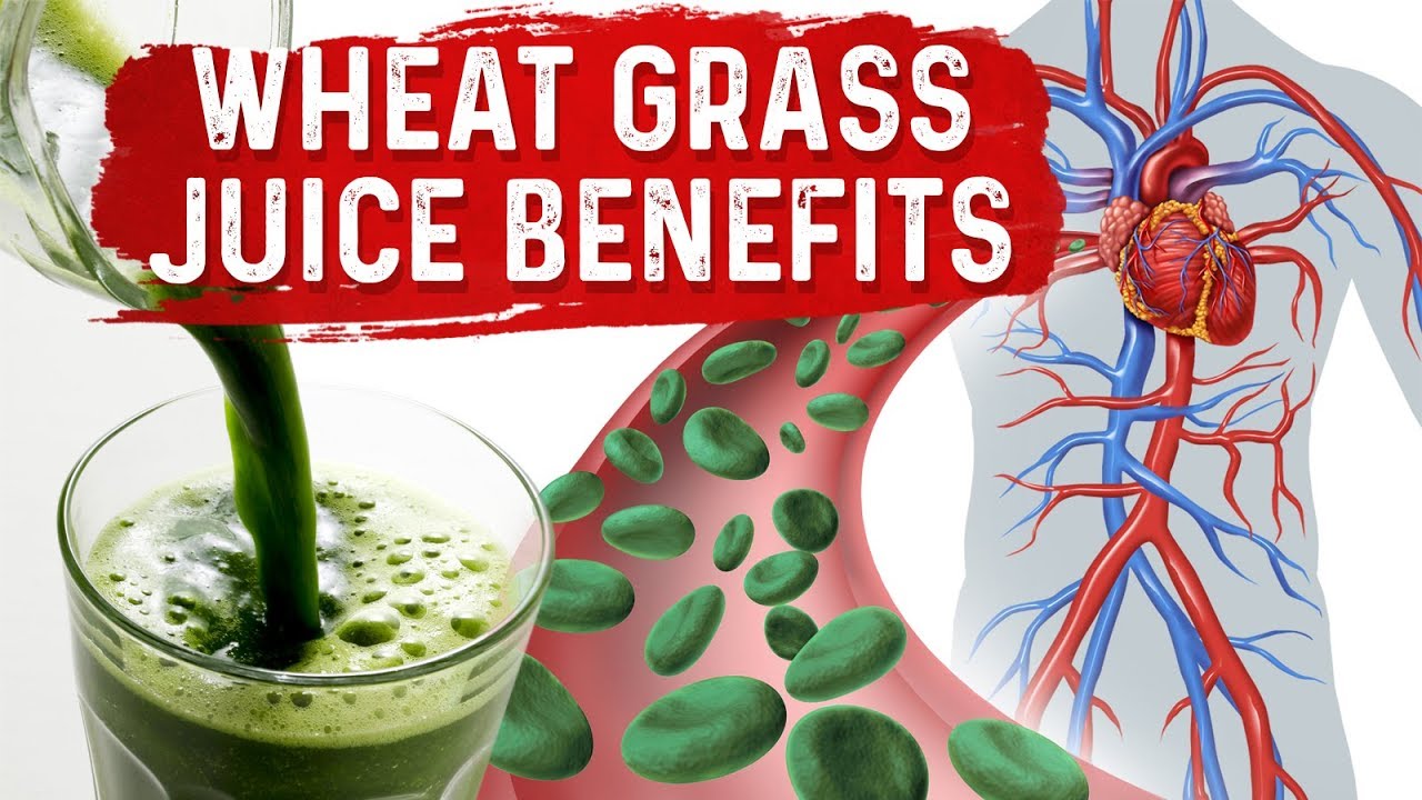 Green Blood Therapy