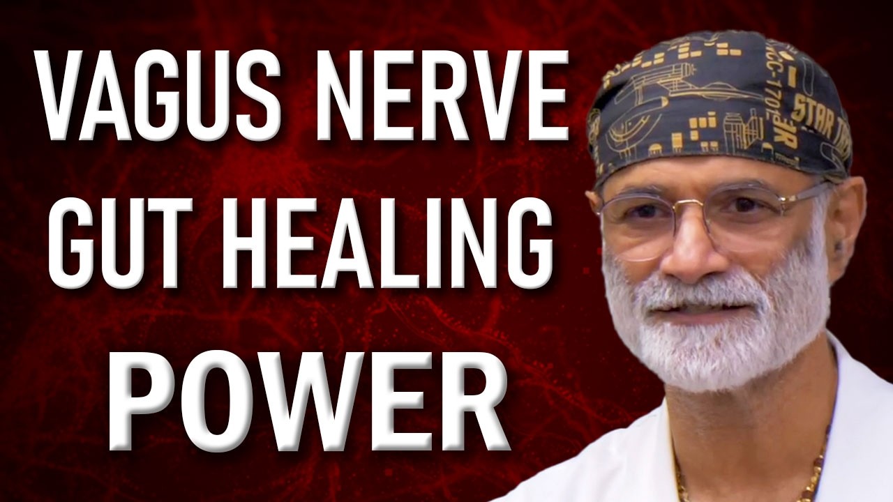 How the Vagus Nerve Heals Your Gut: The Key to Digestive Health and Healing - YouTube