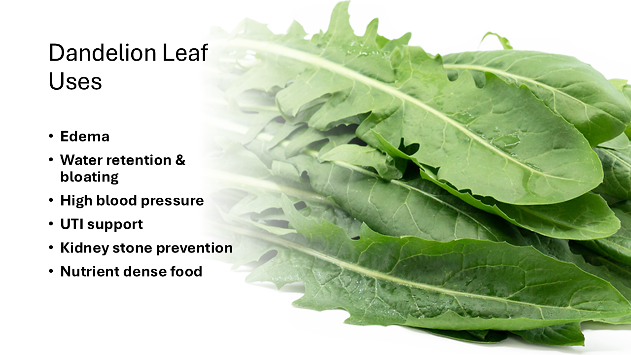 leaf uses