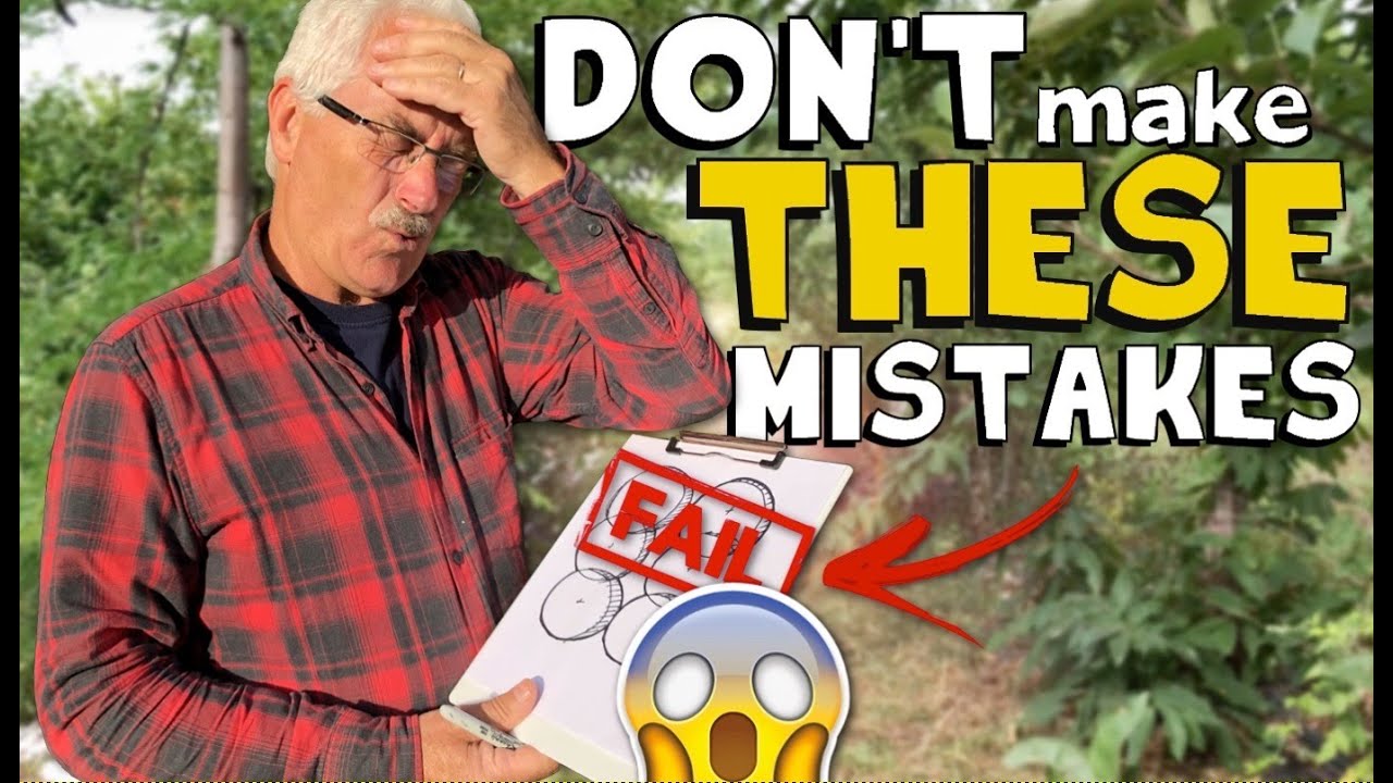 10 BIGgest DESIGN MISTAKES made in the Permaculture Orchard - YouTube