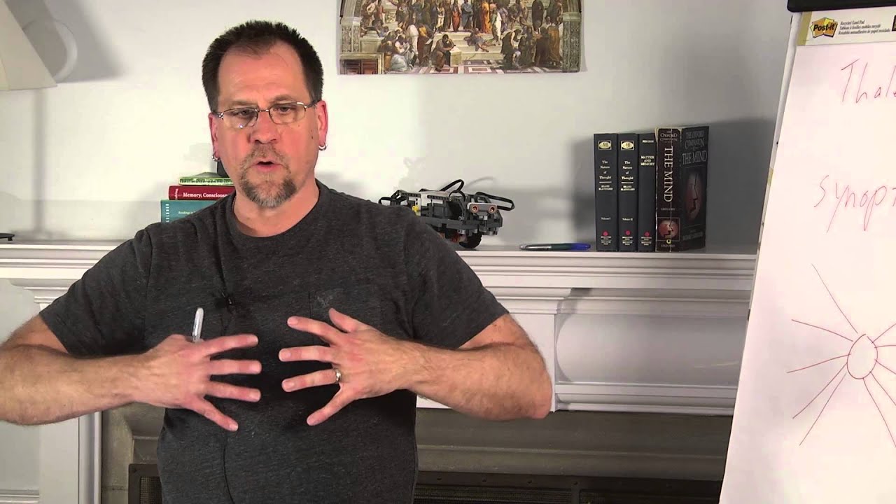 John Vervaeke - Why do Cognitive Science? - YouTube