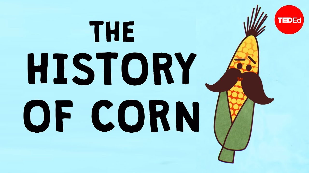 The history of the world according to corn - Chris A. Kniesly - YouTube