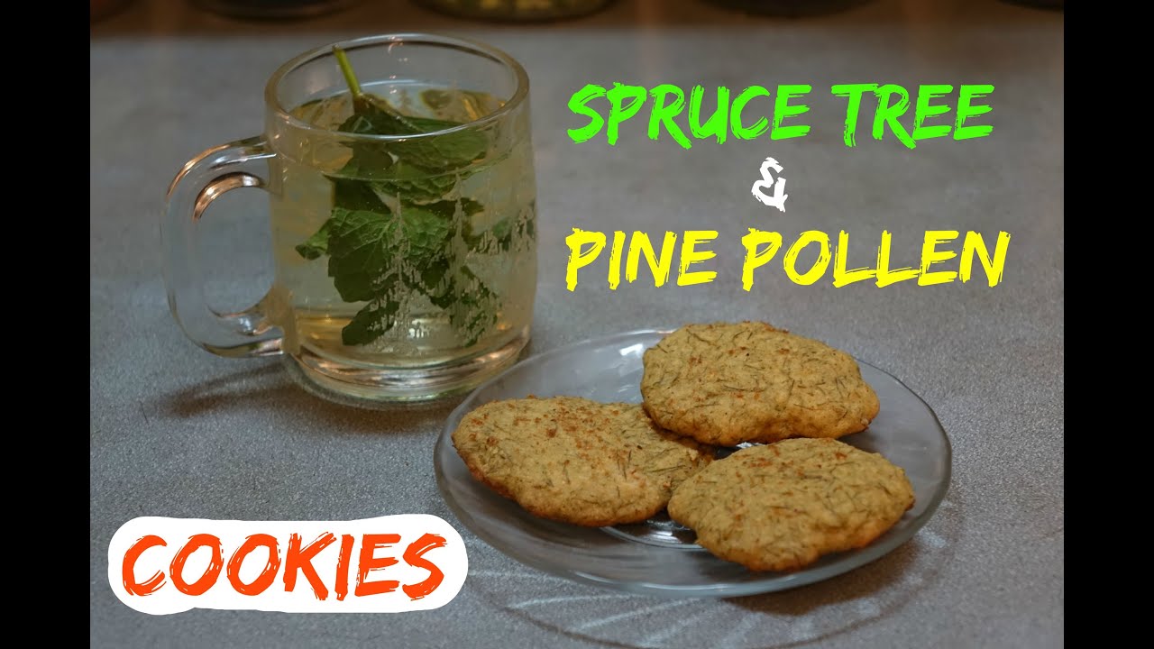 How to Make Spruce Tree and Pine Pollen Cookies