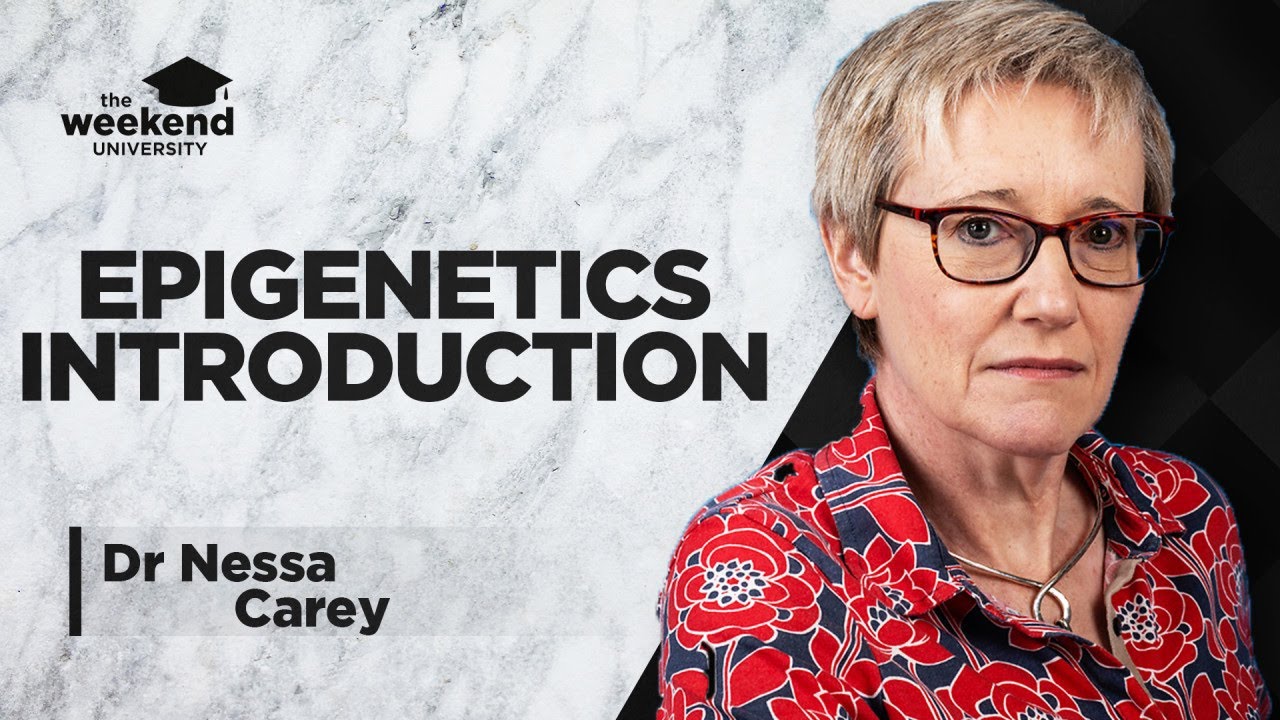 Epigenetics: An Introduction – Dr Nessa Carey - YouTube
