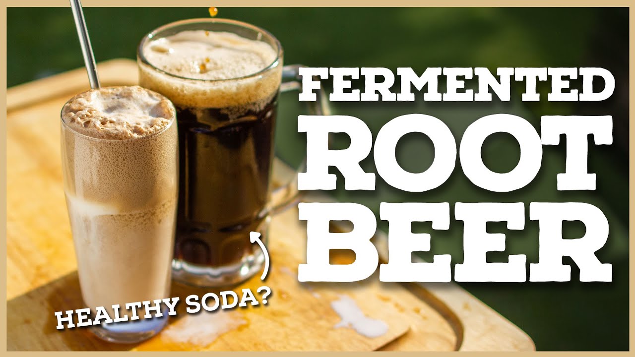 FERMENTED ROOT BEER: How to Make Homemade Soda ...