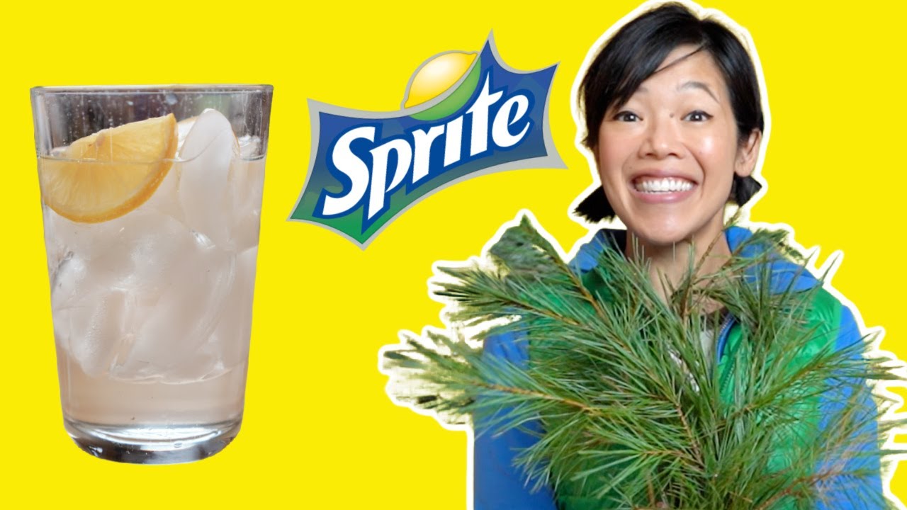How To Make Sprite From PINE NEEDLES | Pine Needle Soda