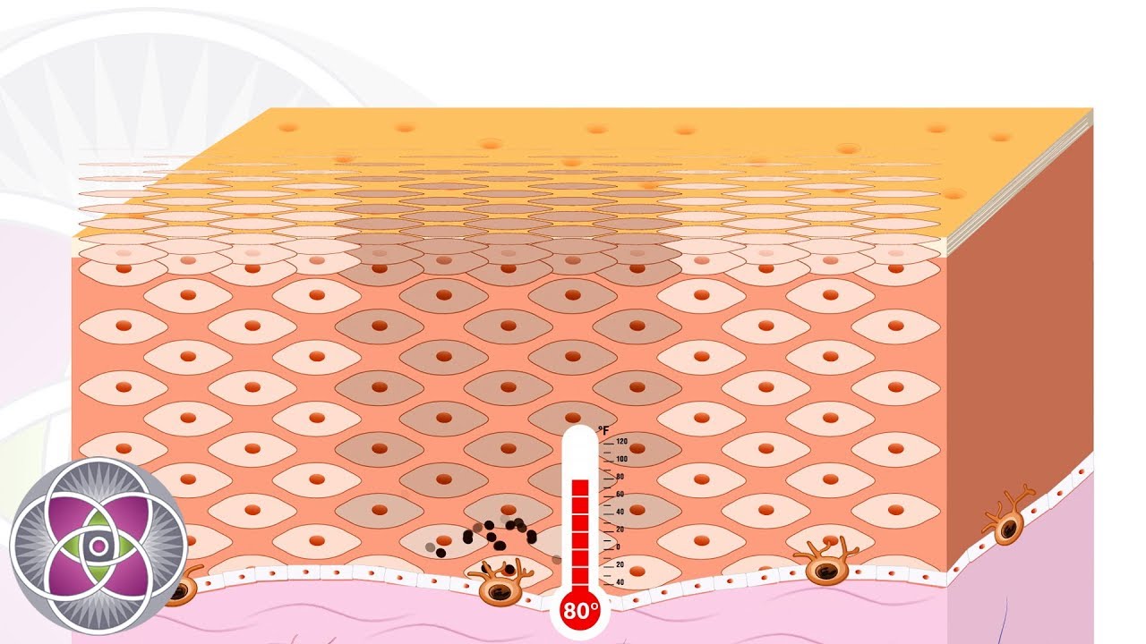 Melasma : A Deep Dive into the Cause & Treatment - YouTube