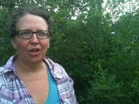Medicinal Minute: Prickly Ash - YouTube
