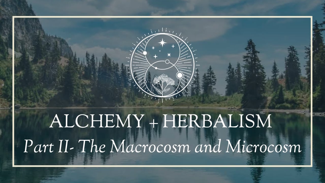 Alchemy and Herbalism Part II - As Above, So Below: The Macrocosm and Microcosm in People and Plants - YouTube