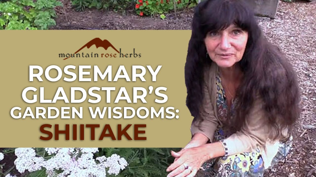 Rosemary Gladstar's Garden Wisdoms: Shiitake Mushrooms - YouTube
