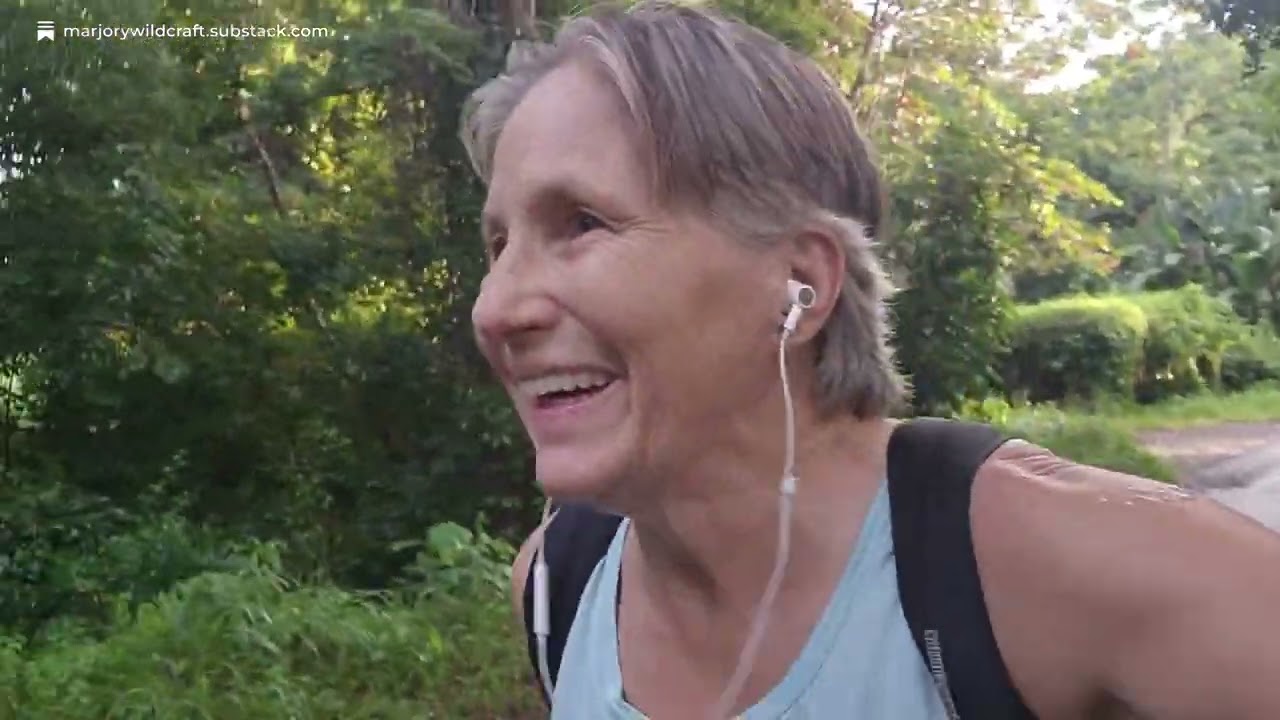 How to hold a hill together with plants - YouTube