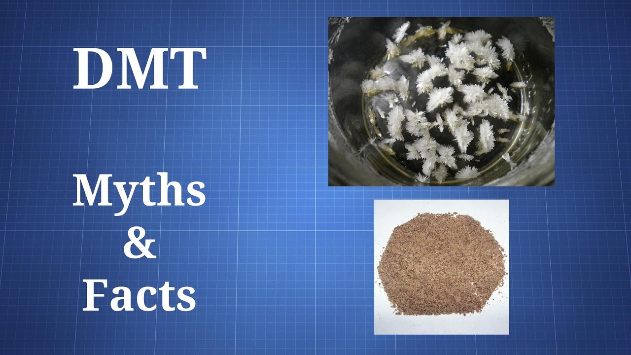DMT: Myths and Facts - YouTube