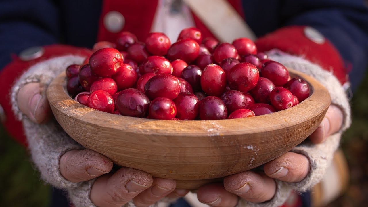 Founding Father Food - Cranberries? - YouTube