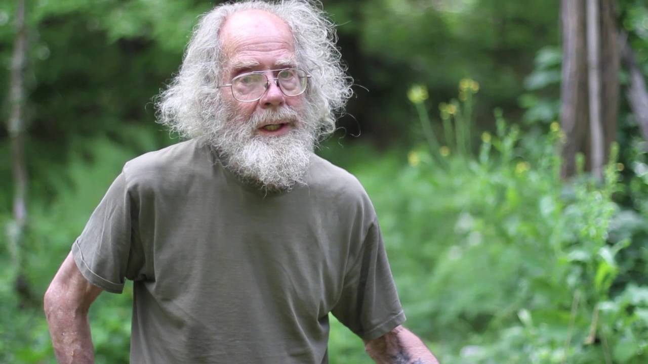 Isatis tinctoria (Woad) - YouTube