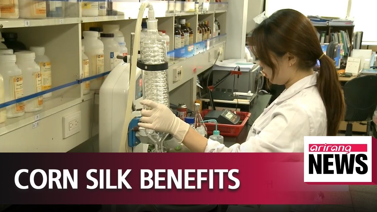 Local scientists find out corn silk helps repair prostate symptoms - YouTube