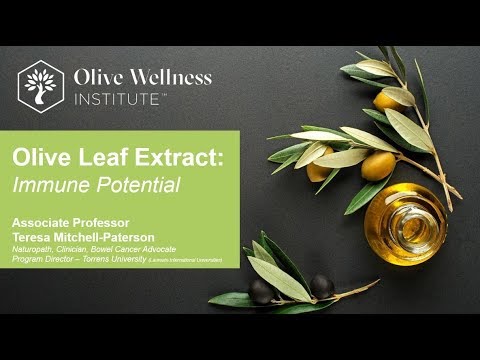 Olive Leaf Extract and Immunity – An Overview of The Current Evidence. - YouTube