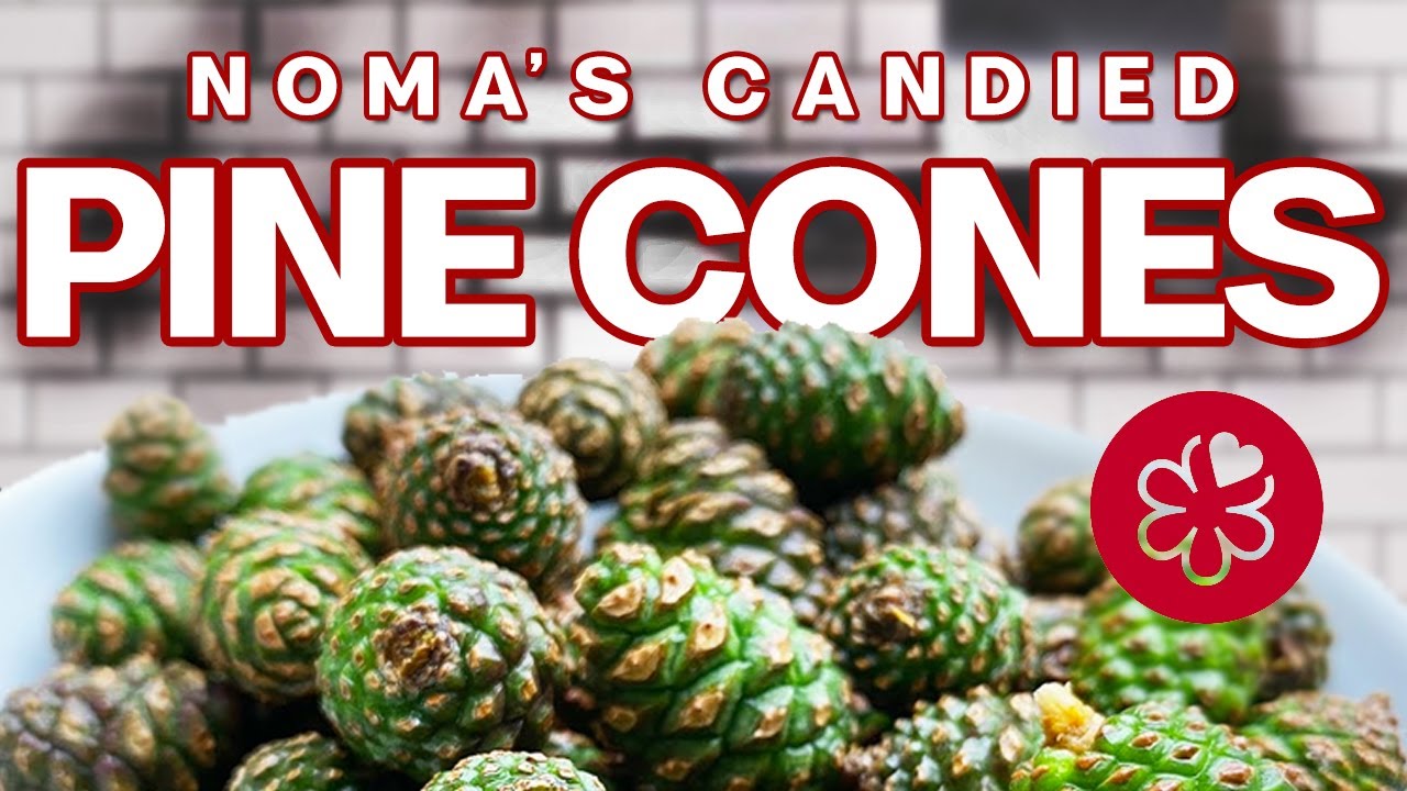 Noma Style Candied Baby Pine Cones - Three Michelin Star ...