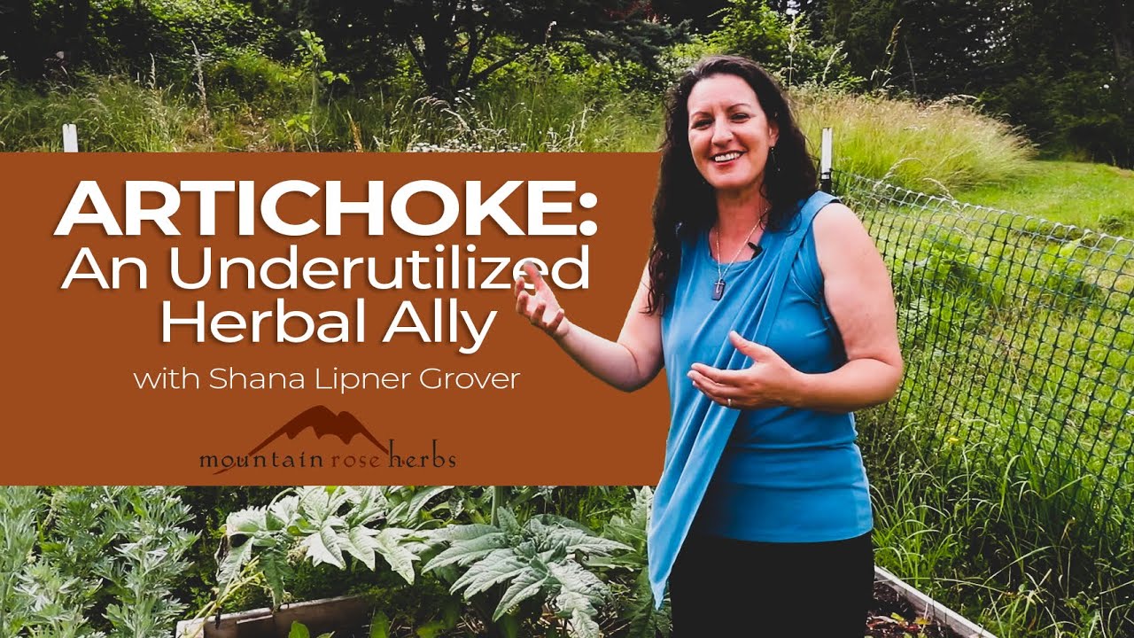 Artichoke: An Underutilized Herbal Ally | Featuring Shana Lipner Grover - YouTube