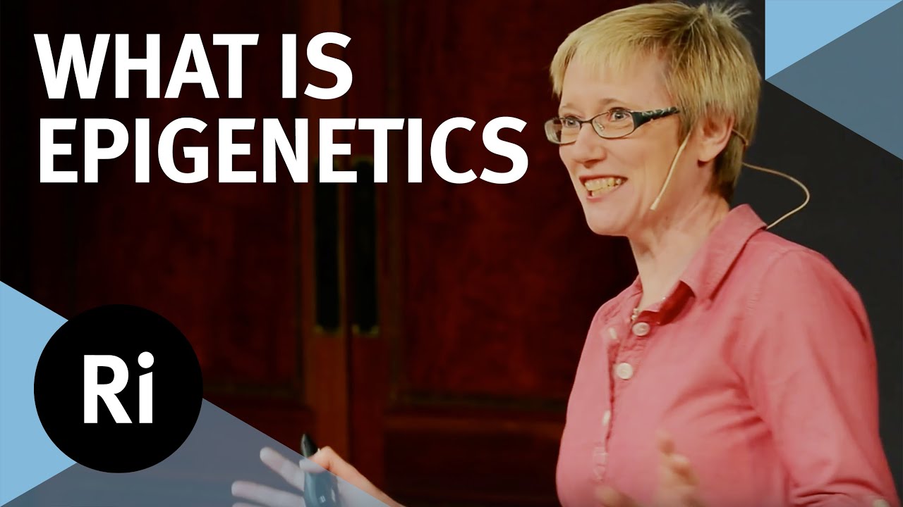What is Epigenetics? - with Nessa Carey - YouTube