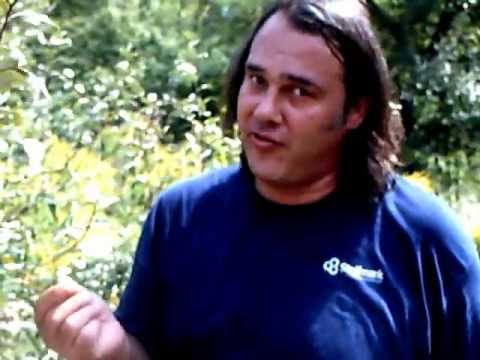 Useful Plant : Silver Buffalo Berry - YouTube