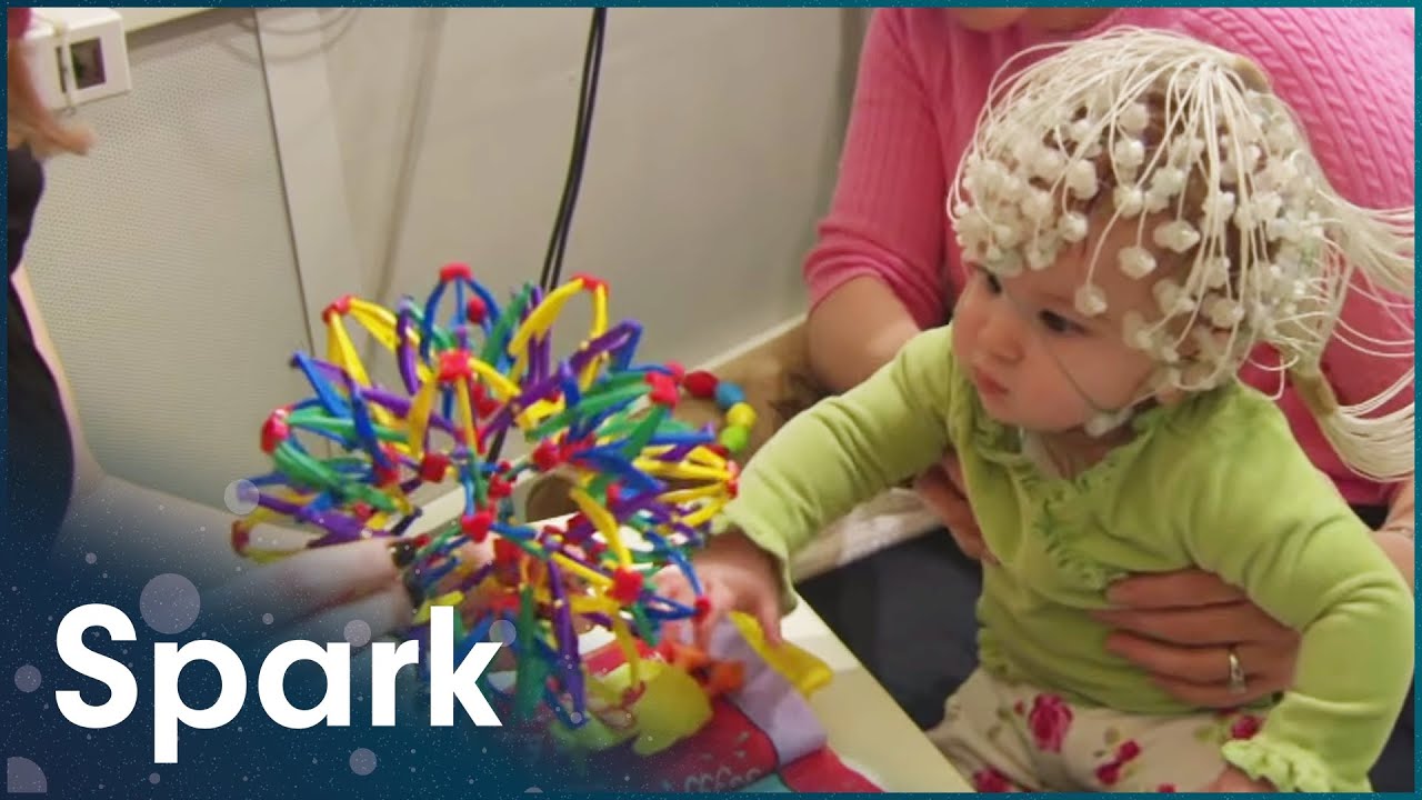 The Brain's Flexibility To Learn And Adapt In Childhood | The Brain Fitness Program | Spark - YouTube