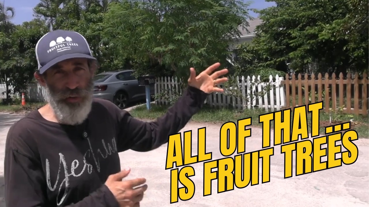 He Grows Over 100 Fruit Trees… and Teaches You Everything He Knows - YouTube