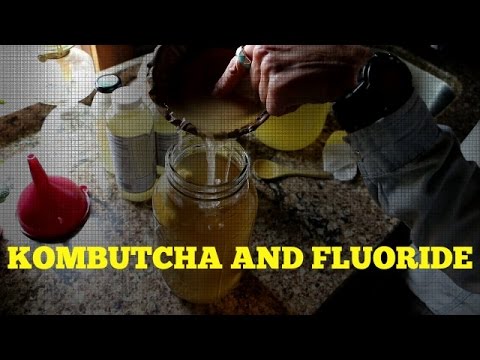 IF YOU MAKE KOMBUCHA YOU BETTER WATCH THIS!!! - YouTube