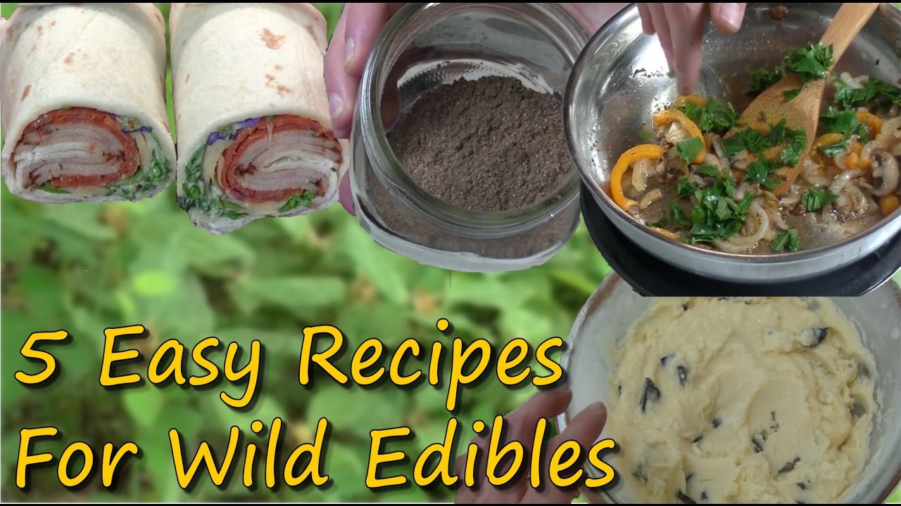 Cooking Wild Edibles - Easy Edible Plant Recipes You Can ...