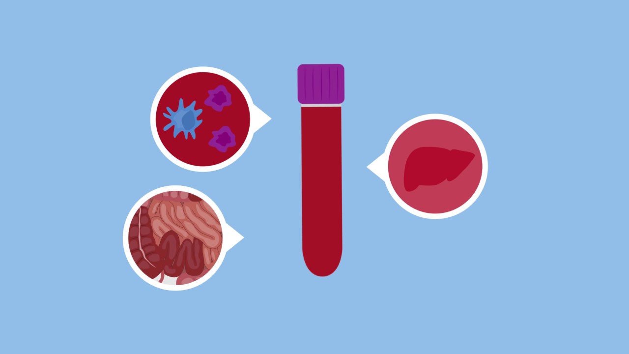 IBD Tests | What to Expect - YouTube