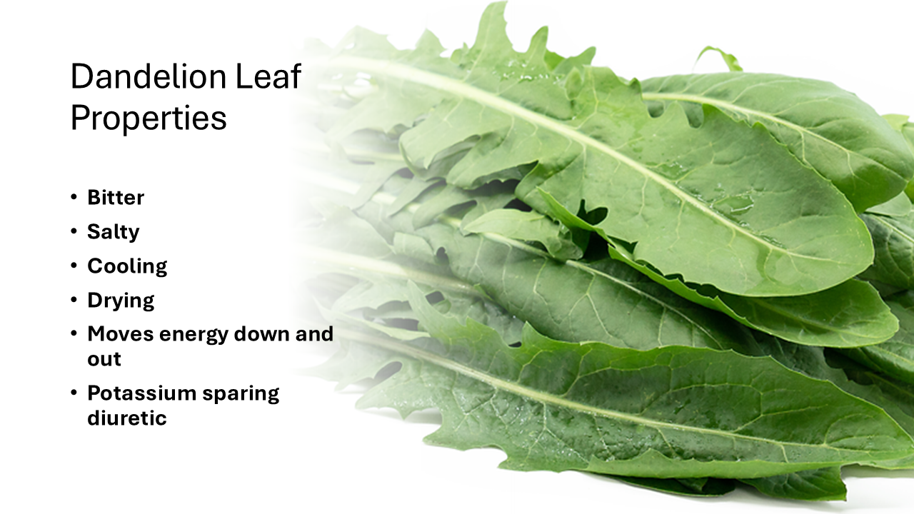 leaf properties