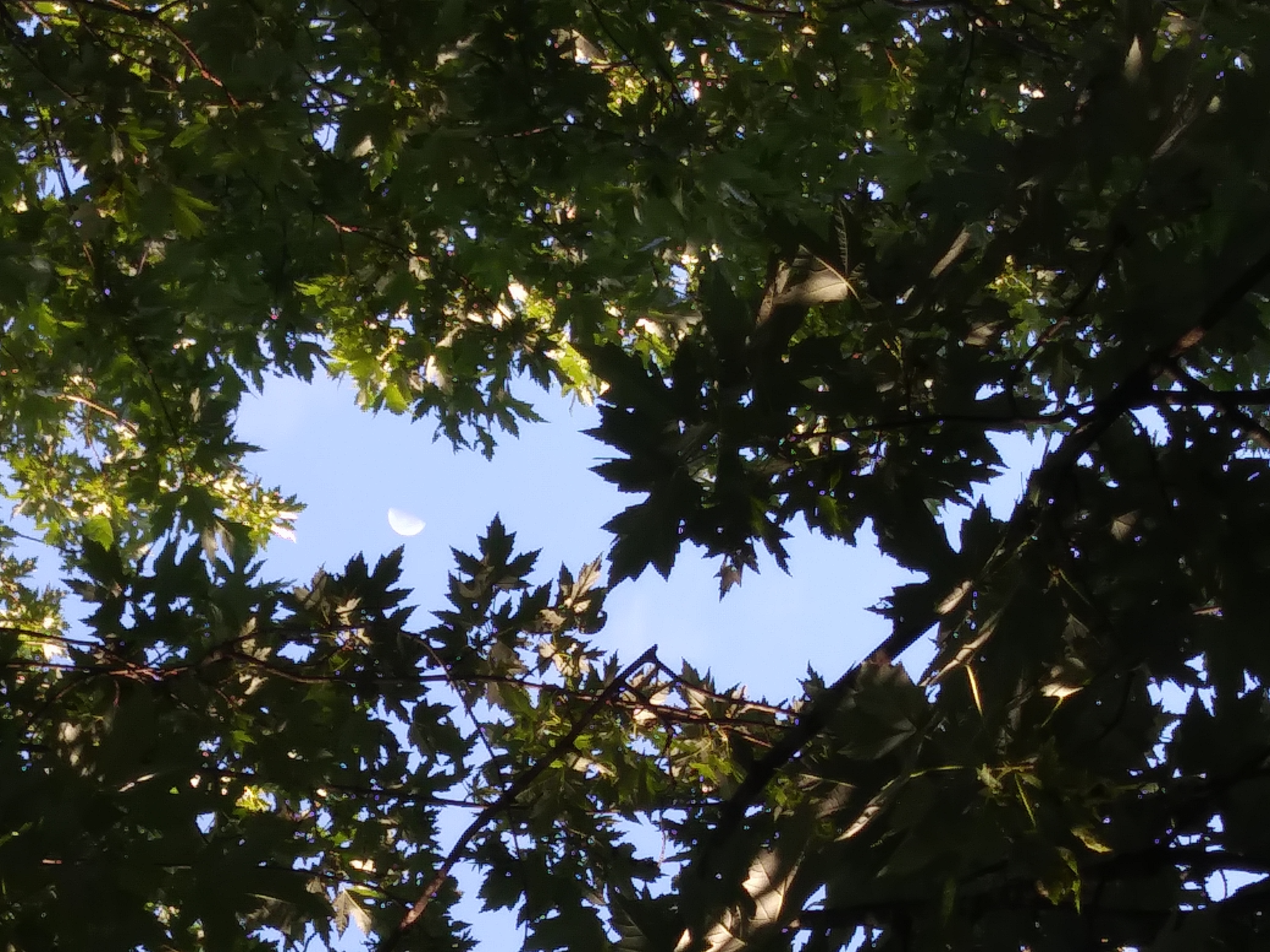 20170814_072049
