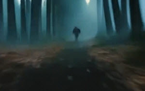 DARK WOODS    2025-10-13_6-00-22