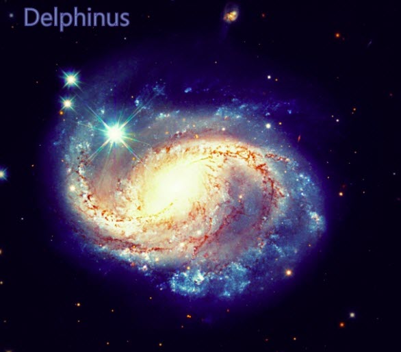 z    DELPHINIUS CONSTELLATION 04    2025-12-30_10-13-38